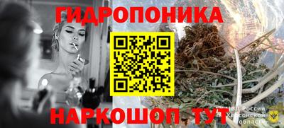 дмт Владивосток
