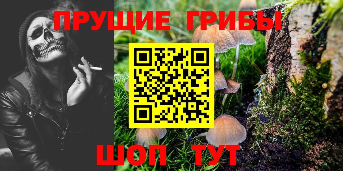 Галлюциногенные грибы Psilocybine cubensis  Галлюциногенные грибы мицелий  Вход с VPN  Псков 