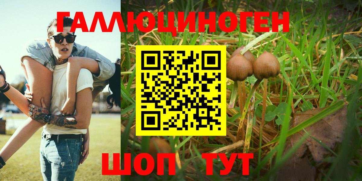 Псилоцибиновые грибы MAGIC MUSHROOMS Псков